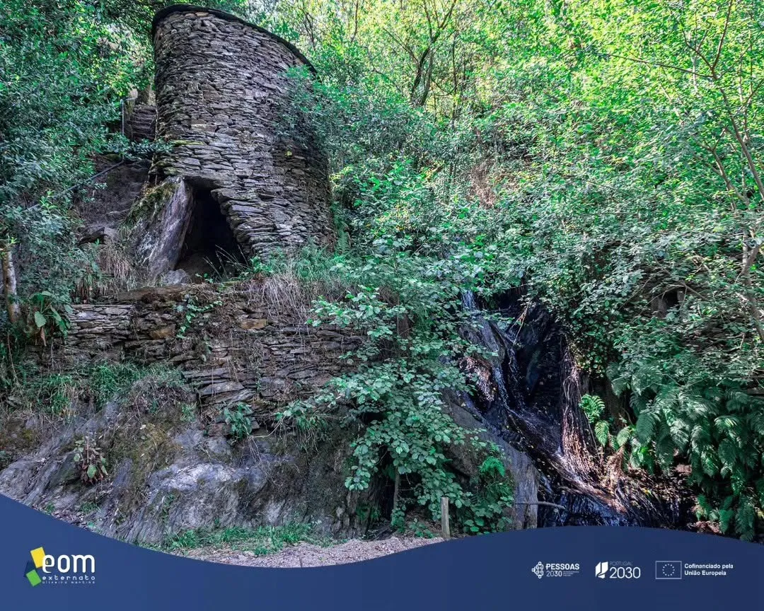 Galeria: Equipa do EOM celebra encerramento do ano letivo em contacto com a natureza — imagem 6